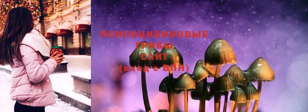 гашик Ижевск