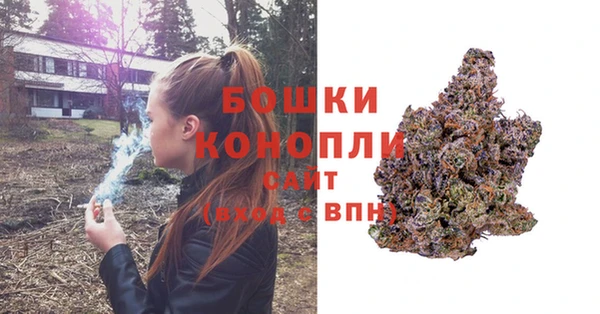спиды Козловка