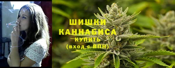 твердый Козельск