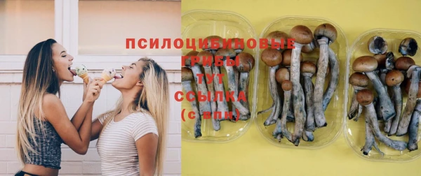 твердый Козельск