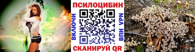 блэк спрут онион  где найти наркотики  Югорск  Галлюциногенные грибы Magic Shrooms 