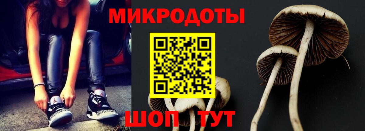 Галлюциногенные грибы Cubensis Югорск